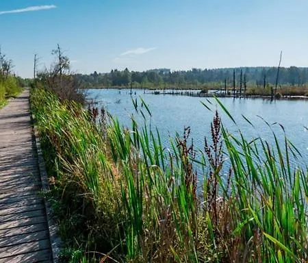 My N 35/2 Apartament