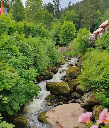 My N 35/2 Apartament *