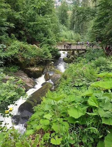 My N 35/2 Appartement *