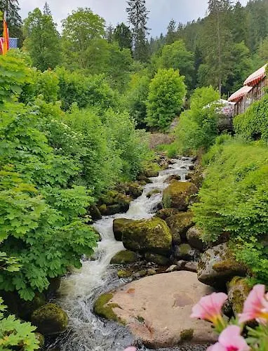 My N 35/2 Appartement *